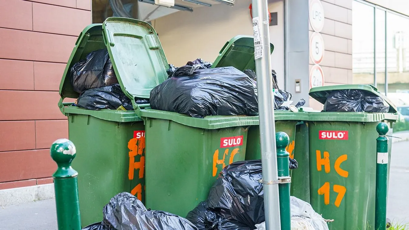 Ekkora fejpénzt fizetnek annak, aki beszervez egy új kukást