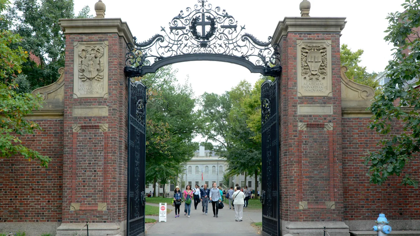 Felvették a világ legjobb egyetemére a magyar gimnazistát