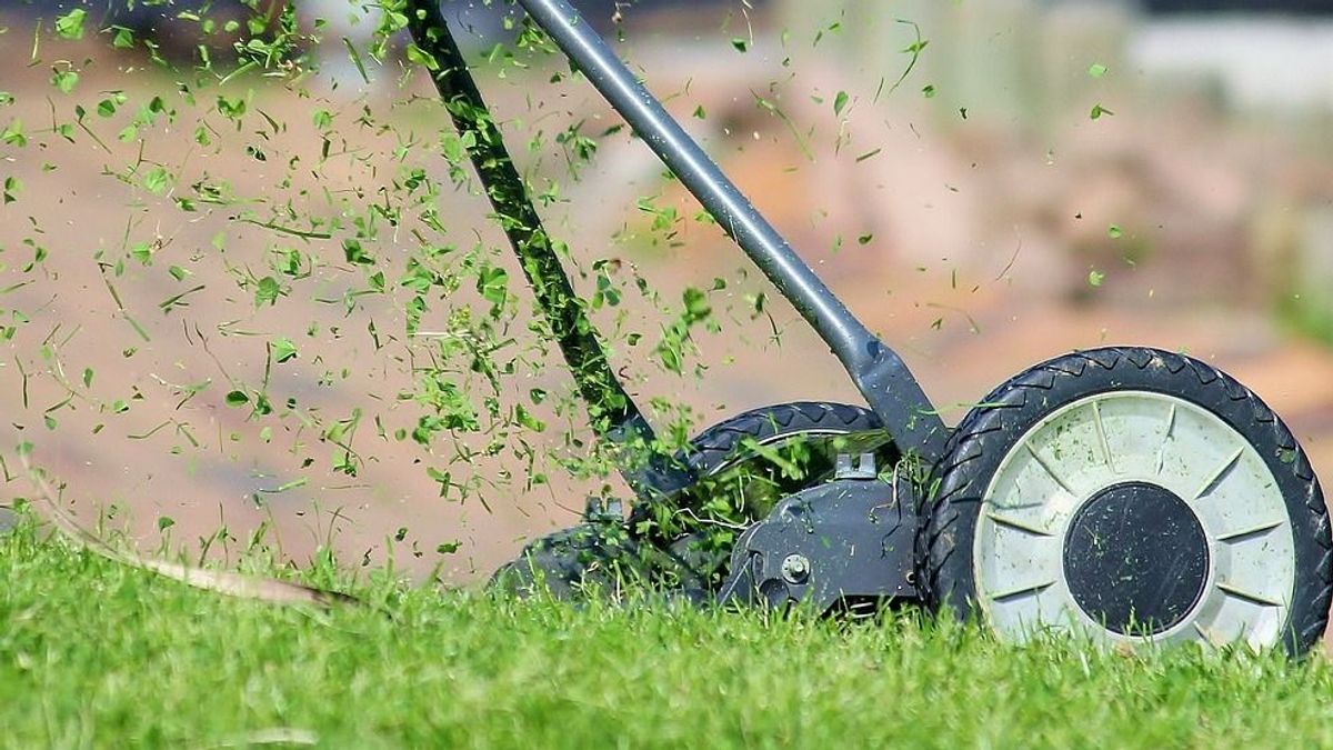 Rémálomnak is beillene, amit szomszédjával művelt a nógrádi férfi