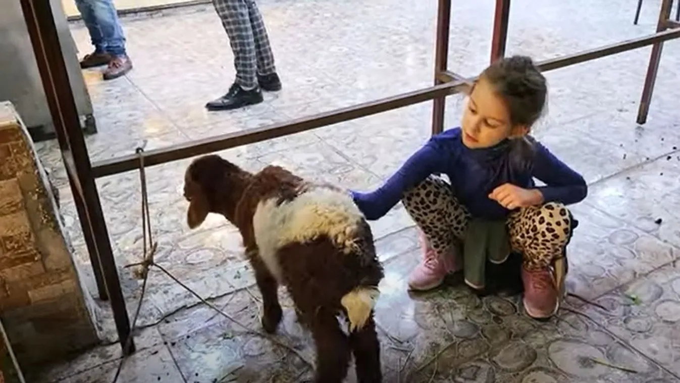 Ördög Nóra életmentő akcióba kezdett lánya kedvéért - Videó