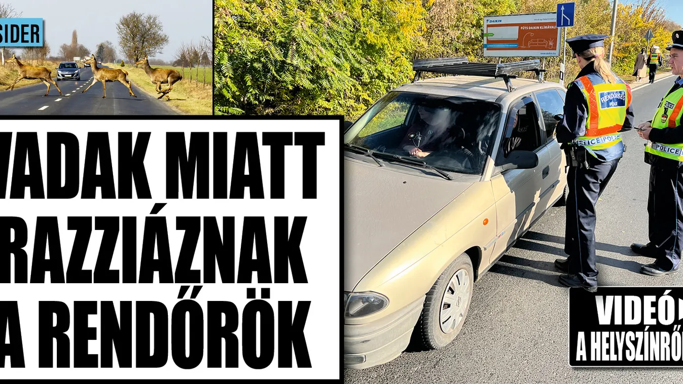 Akcióban a rendőrök – forgott a Ripost kamerája