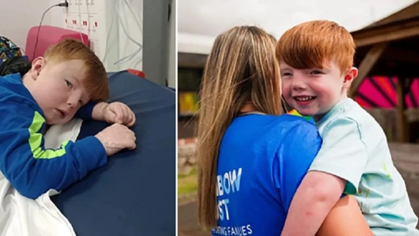 Súlyos szívbetegséggel küzd Rómeó