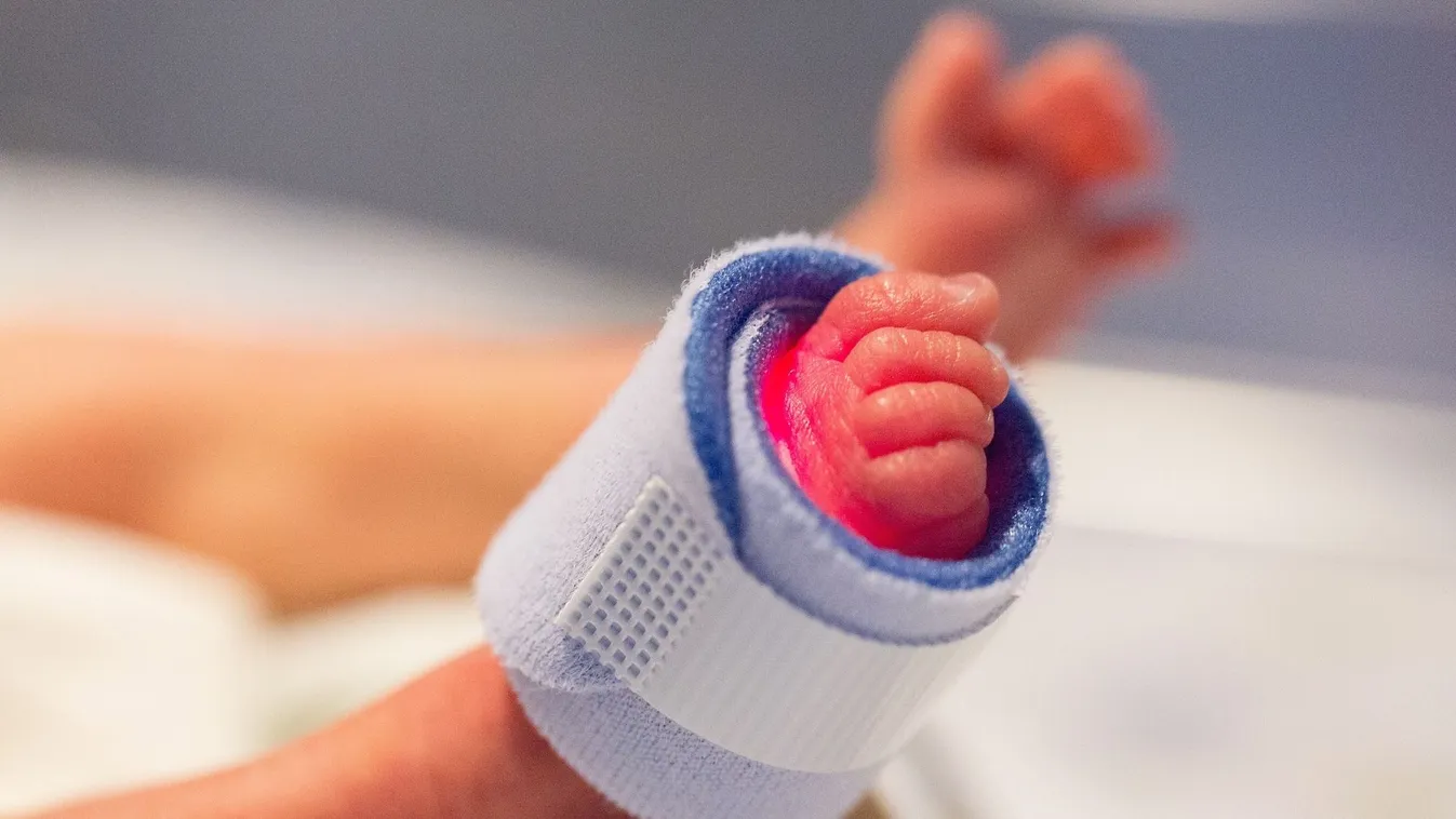 Szemeteszsákban sírt fel a baba, ezt művelte az orvos