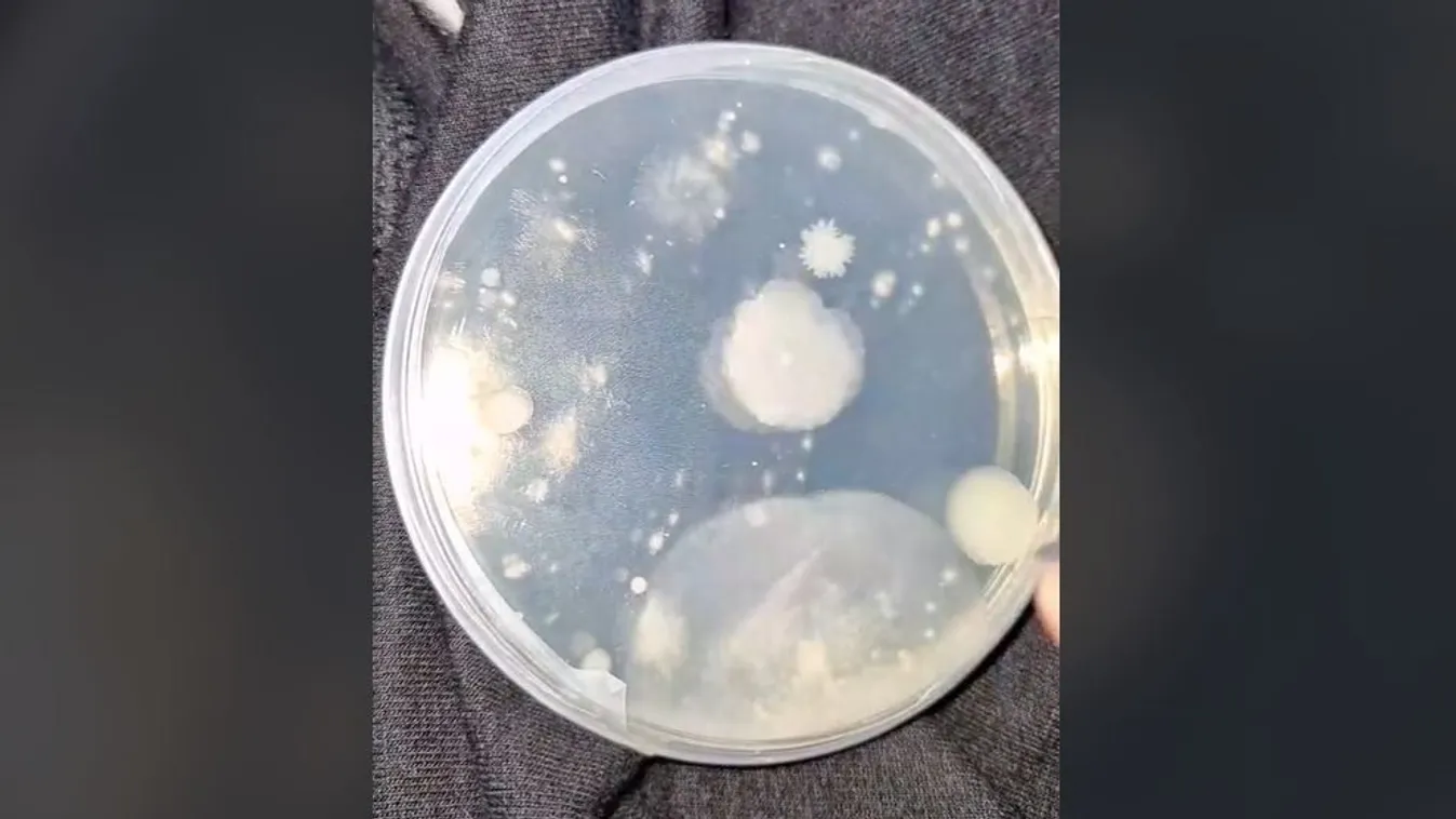 Sokkoló: Ez vár minket egy BKK-automatánál – Videó