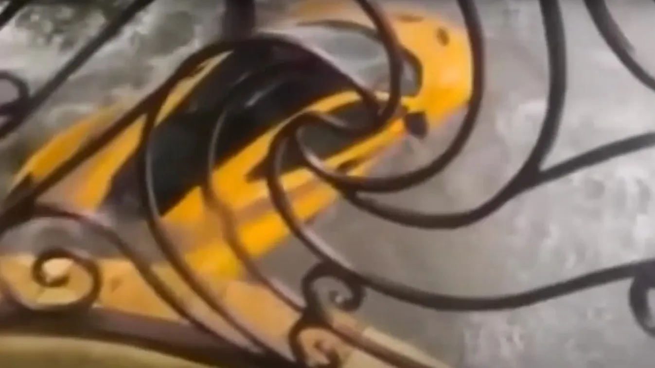 A dúsgazdag család garázsából mosta ki az eső a luxusautót