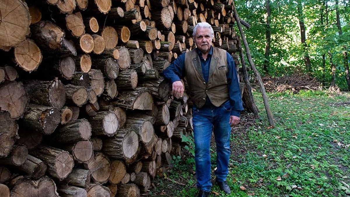 Fatolvajok dézsmálják az Oszter-birtokot