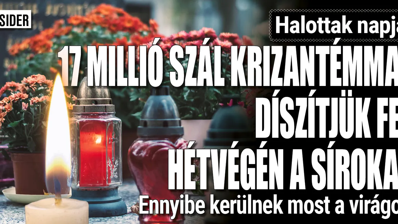 17 millió szál krizantém várja az emlékezőket