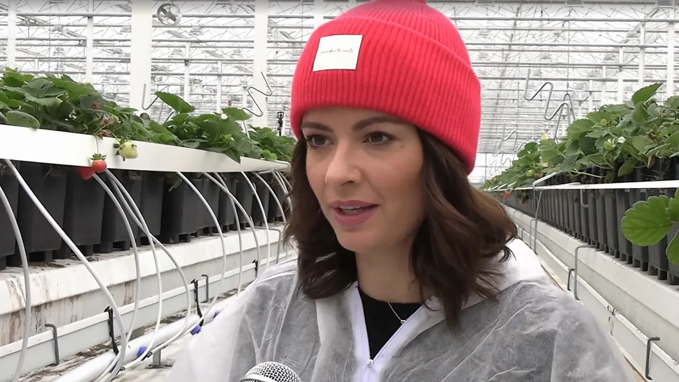 Elképesztő kincsre bukkantak Pest megyében - Videó