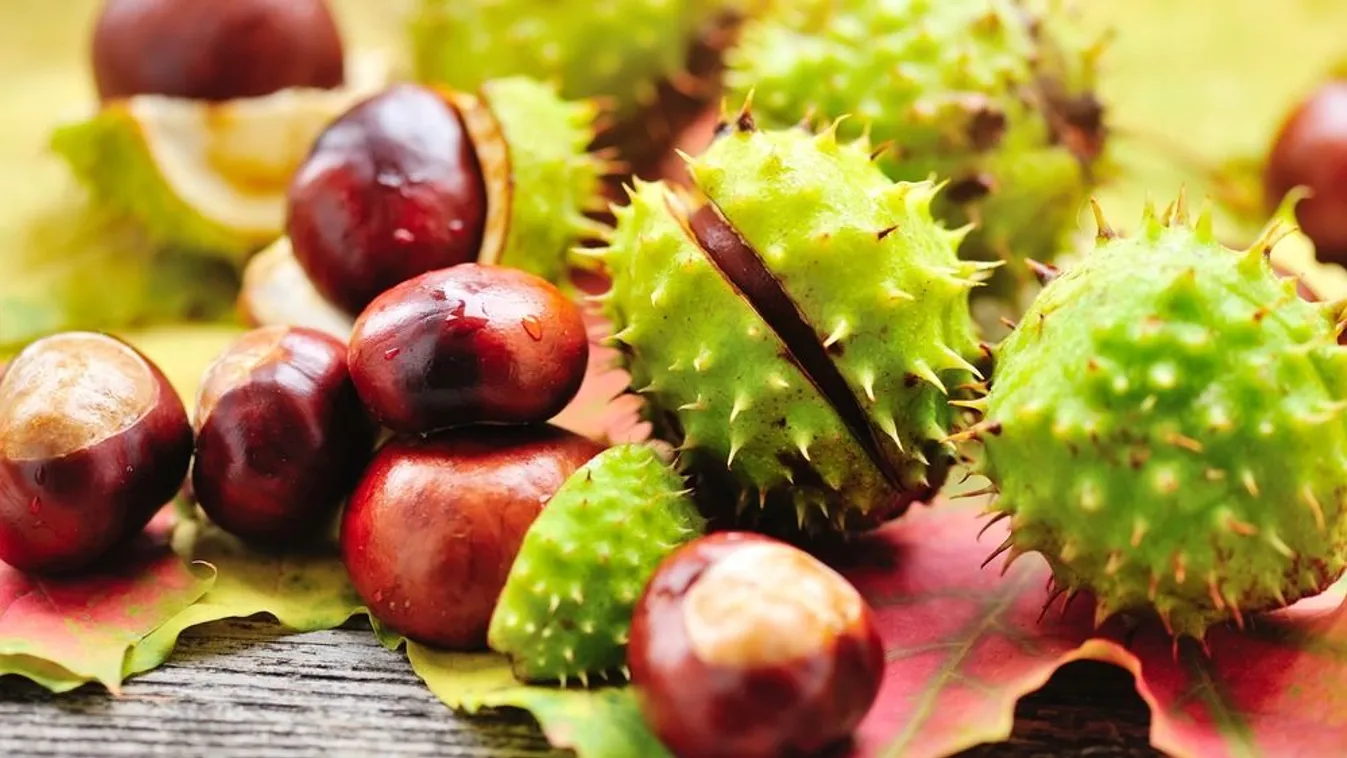 Itt a gesztenyeszezon! Egyél hazait!