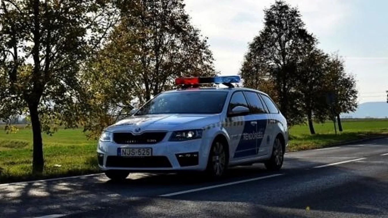 Fejszével akarták levágni a tini fejét Veszprém megyében