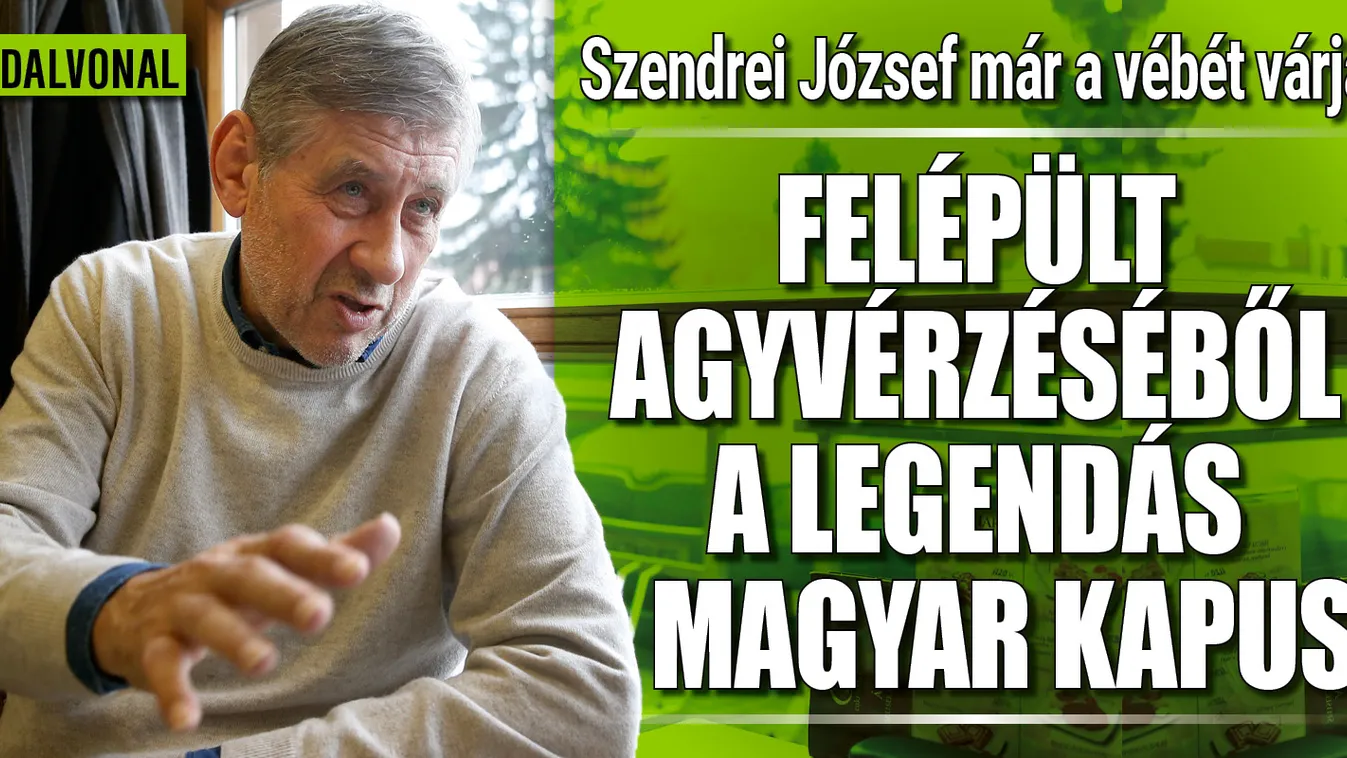 Felépült az agyvérzésből, már a vb-re készül Szendrei József