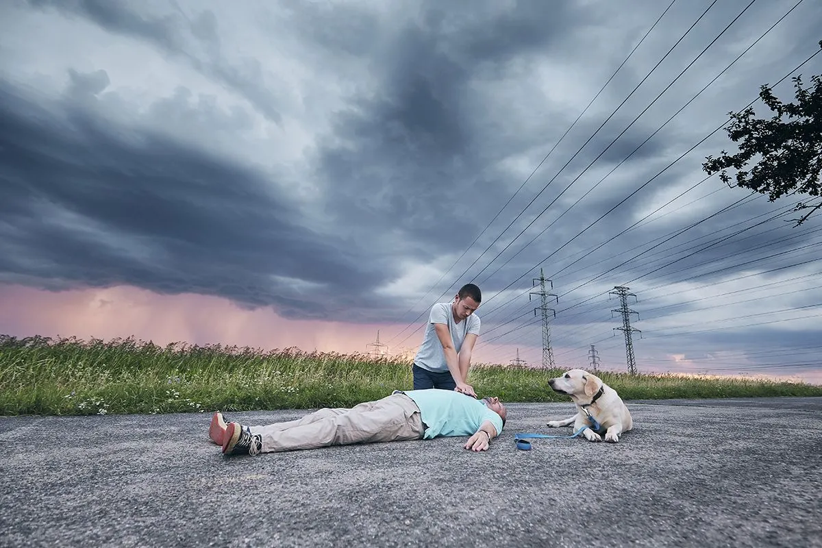 A kutya hűségéhez nem férhet kétség.