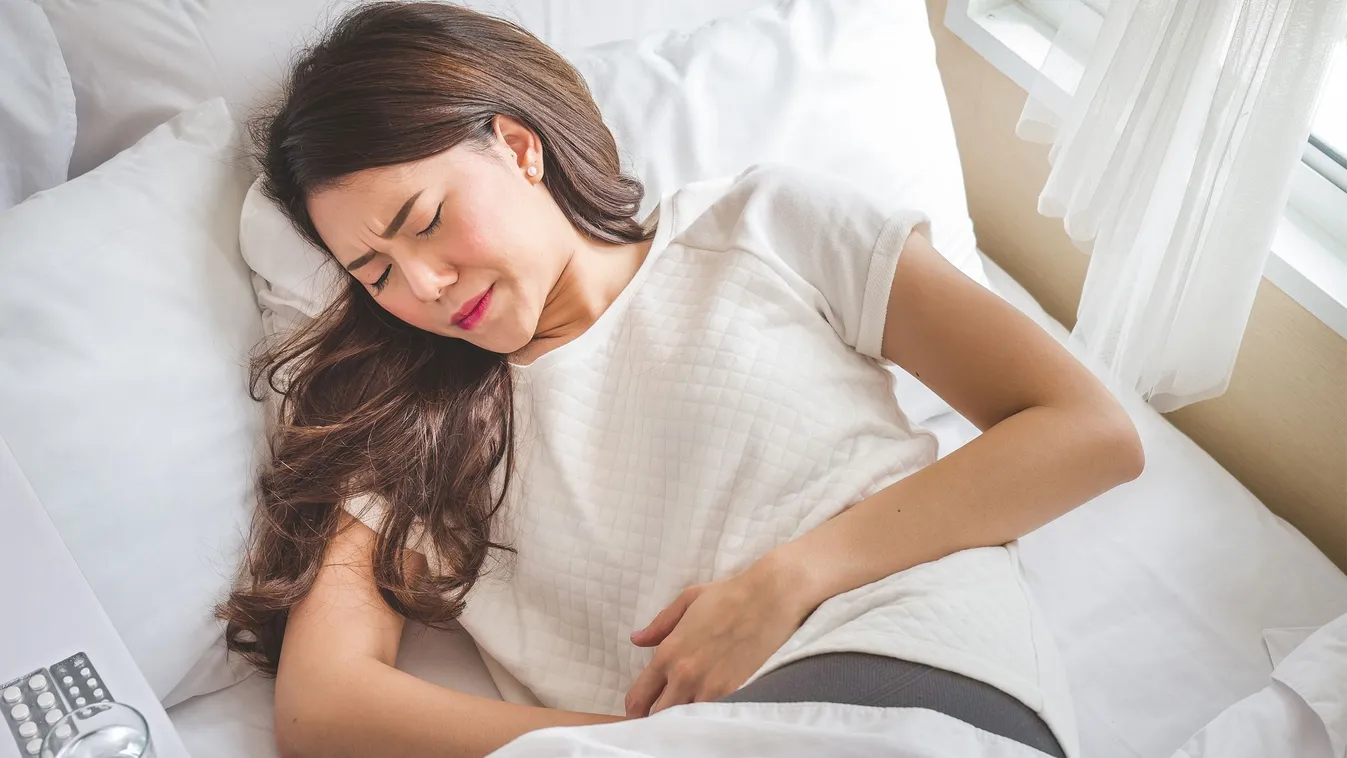 INTESTAL, amely megoldást jelenthet(X)