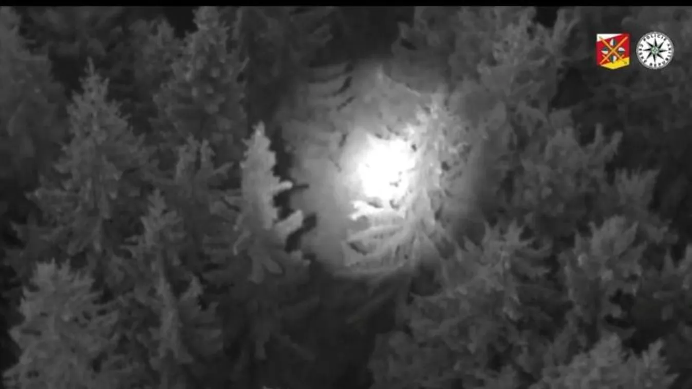 Videón, ahogy rátaláltak a Sas-hegyen eltűnt 2 éves kisfiúra