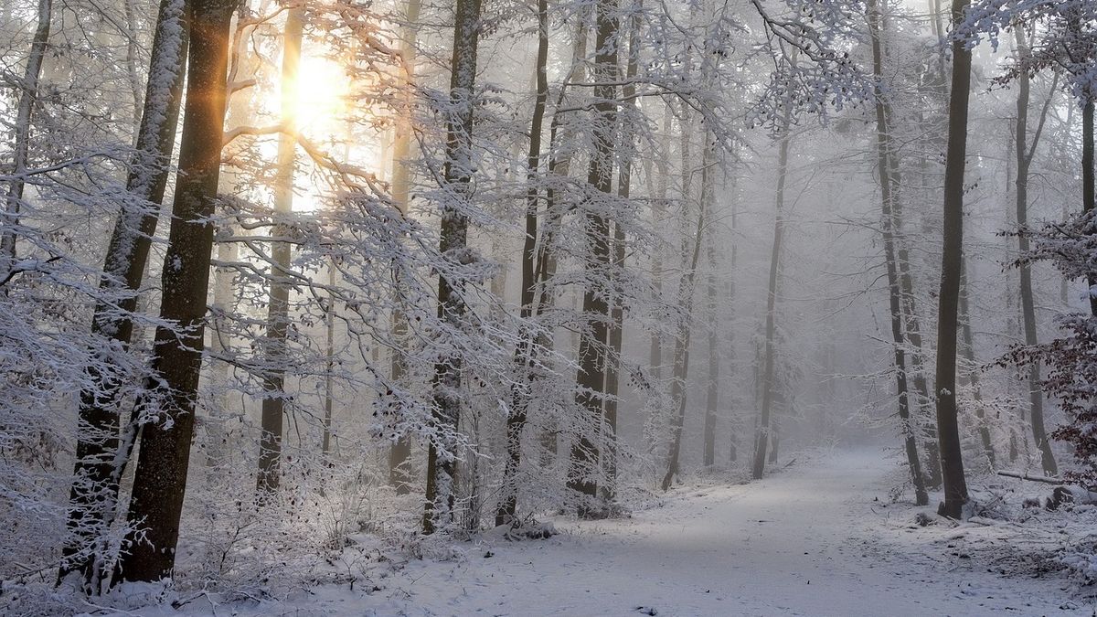 Fehérbe borult a Kőszegi-hegység, 20-30cm hó esett – Fotók