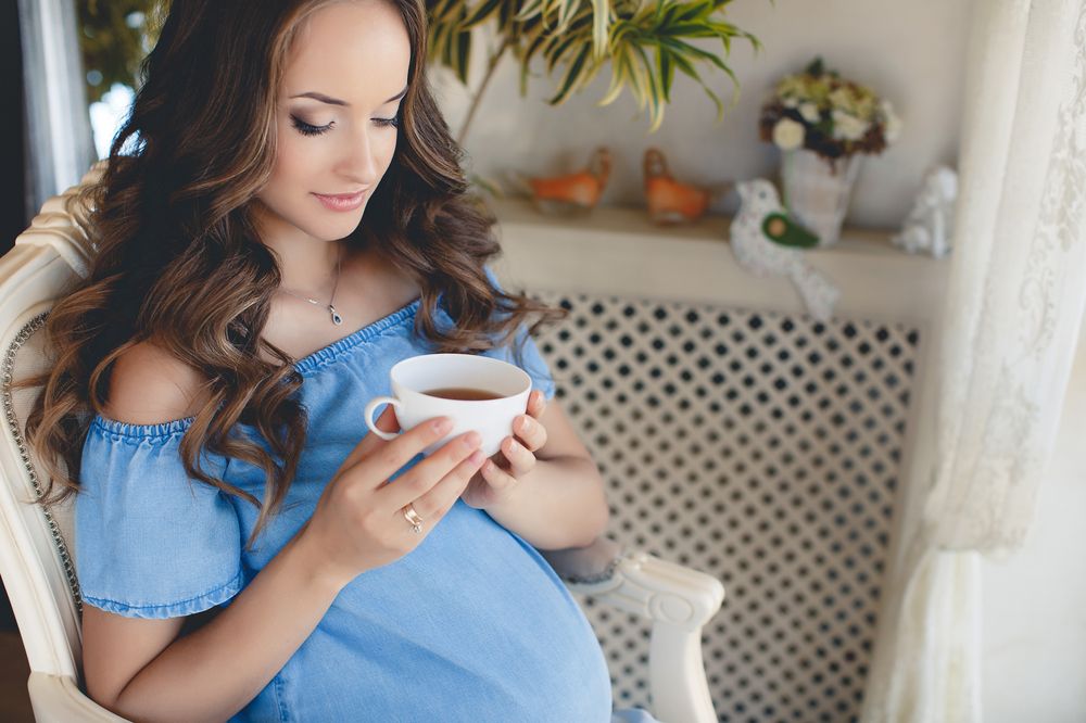 Home,Cozy,Portrait,Of,Pregnant,Woman,Resting,At,Home.,Home