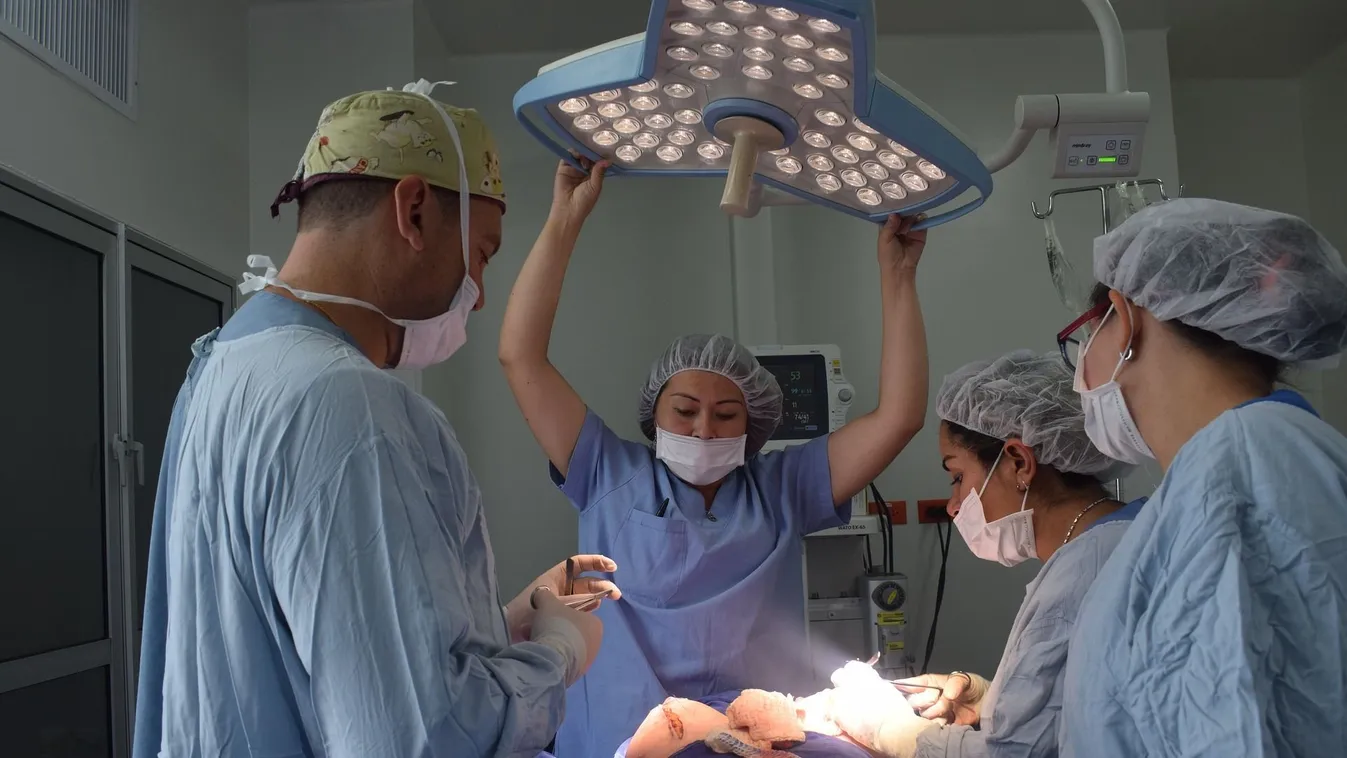 Túltolták a plasztikát? Sztárok, akikre már rá sem ismerünk