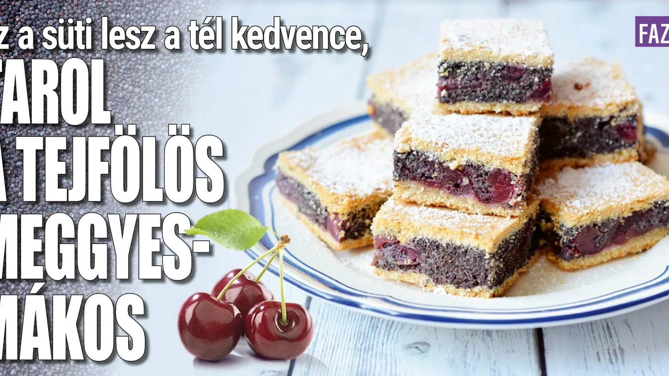 A tél kedvence lesz a tejfölös meggyes-mákos szelet