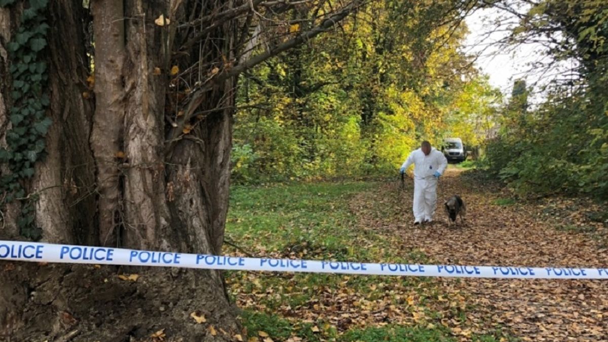 Holttestet találtak Mezőhegyesen, itt vannak a részletek