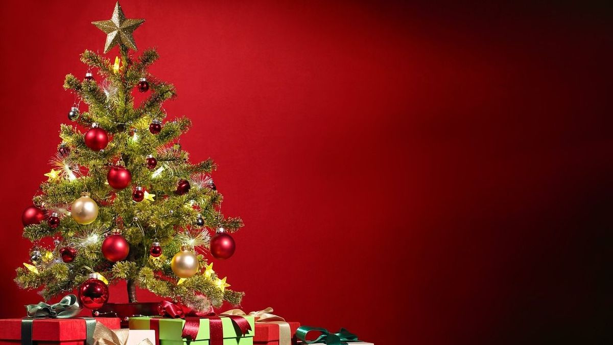 Mindenkit érdekel a titok: Így marad sokáig szép a karácsonyfa