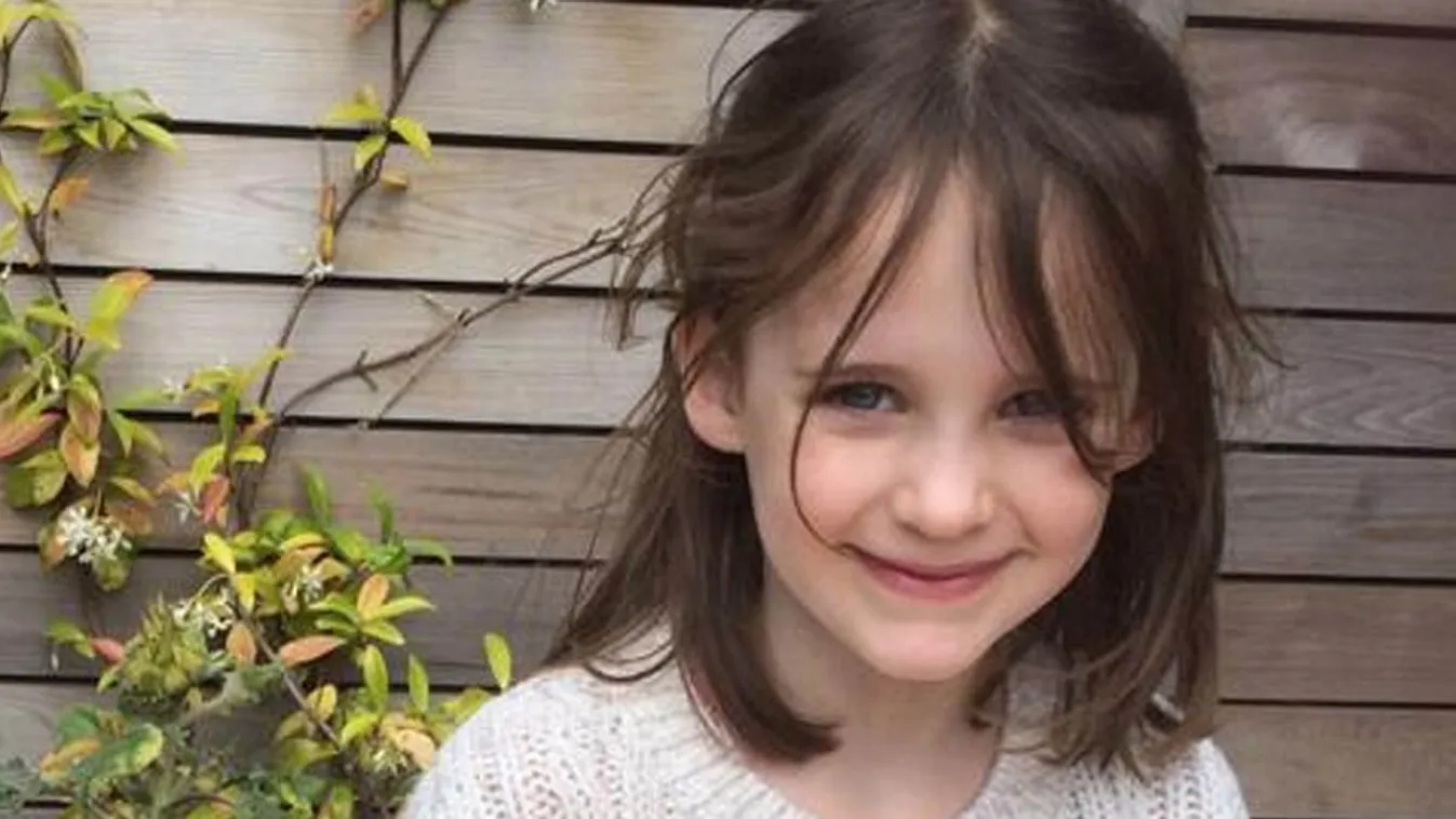 Hatéves lányra dőlt rá egy fa az iskola udvarán