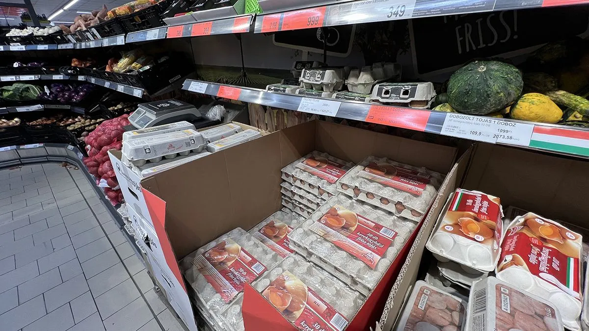 Burgonya, tojás, árstop