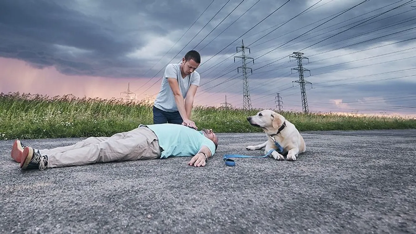 Nem mozdult a kutya a halott gazdája mellől