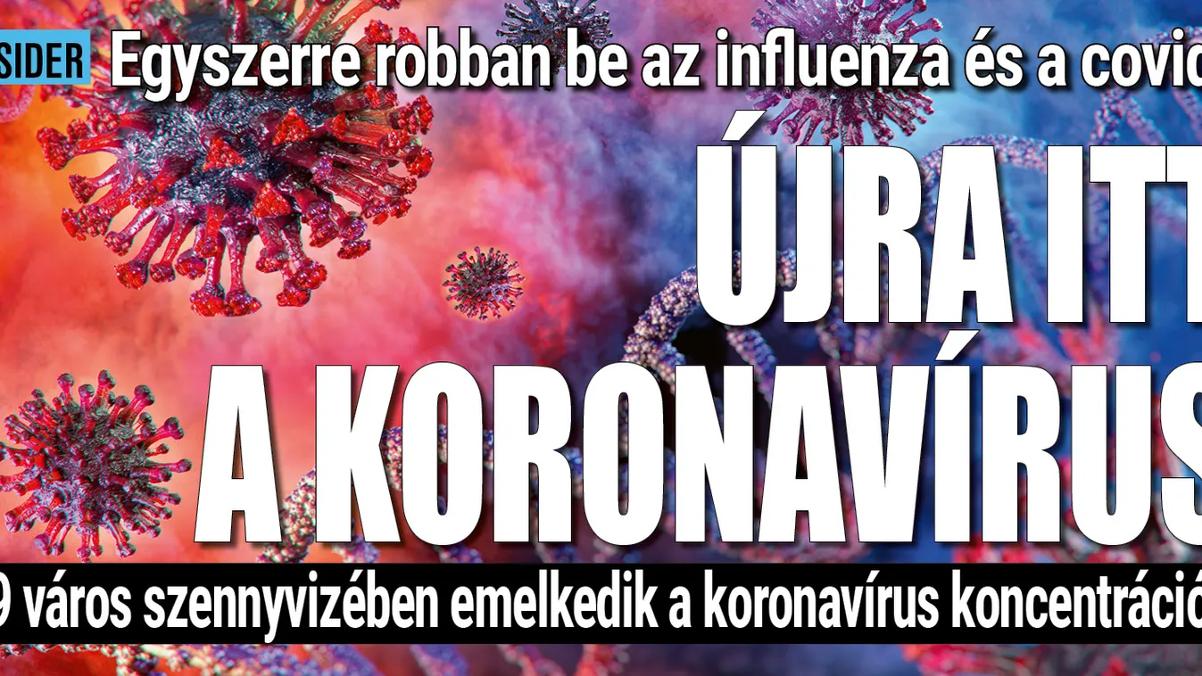 Nyakunkon az influenza és a covid járvány?