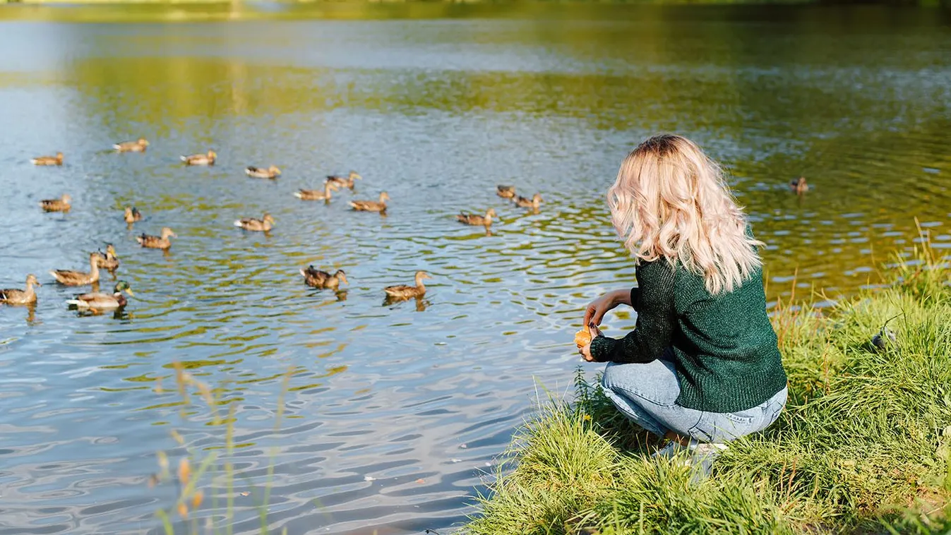 4 ezoterikus tipp: így segíti a gyógyulást a víz