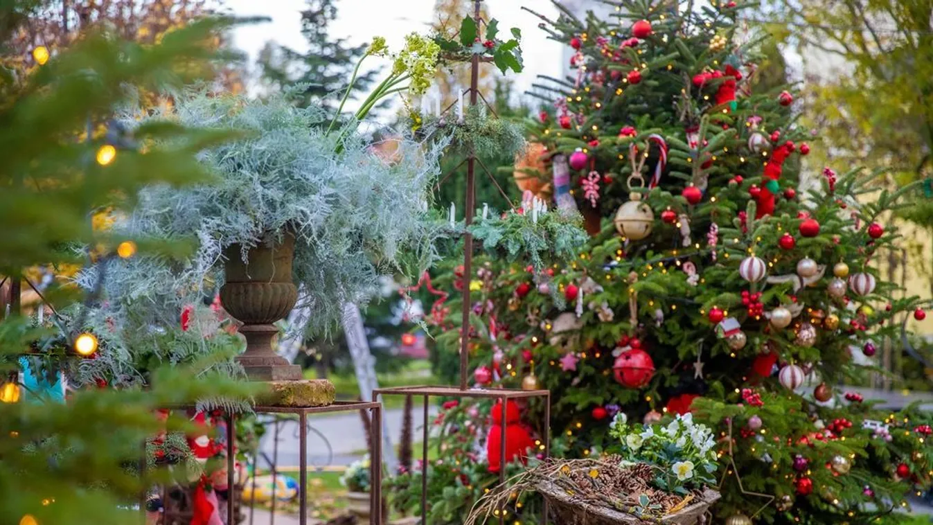 Íme az idei év legtrendibb karácsonyfái