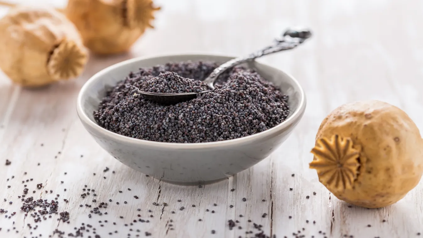 Erre figyelj, ha szemes mákot veszel - minden a mákról