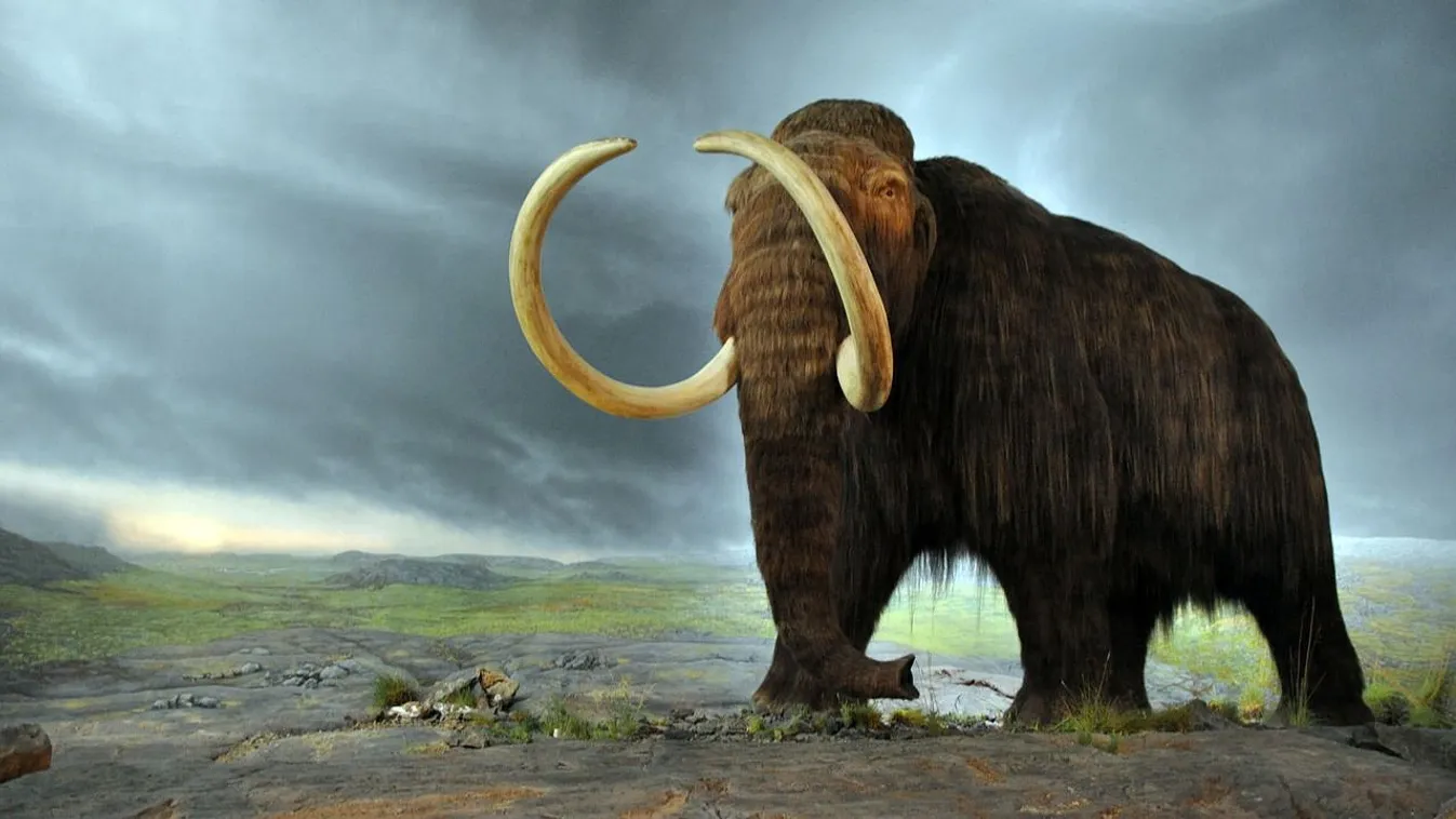 Ősi "mamutvírusokat" próbálnak felébreszteni orosz tudósok