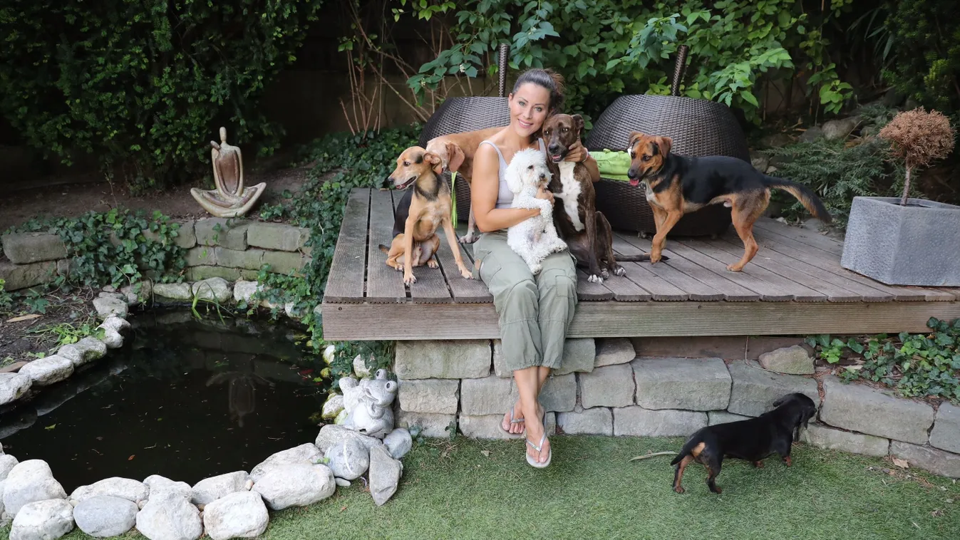 Elmondta véleményét a karácsonyi kutyákról Tornóczky Anita