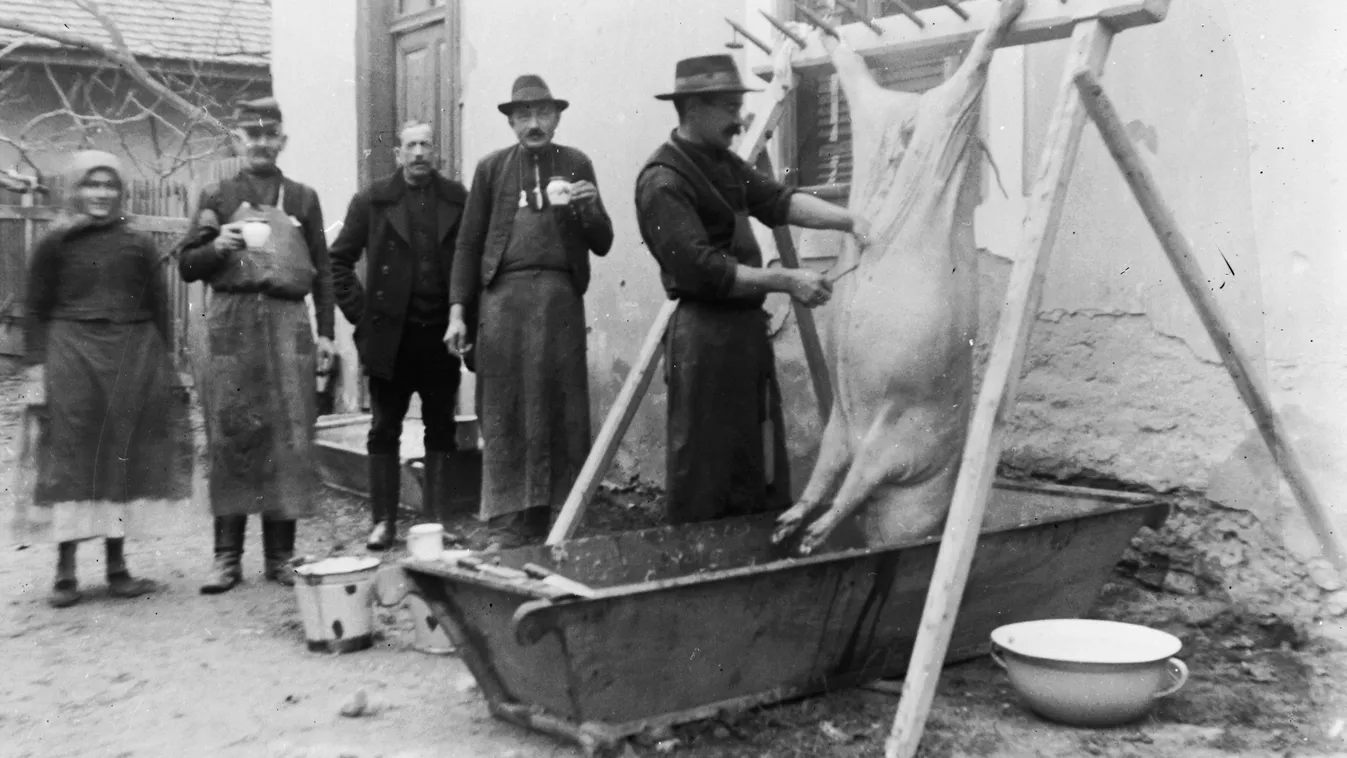 Ilyen helyen se láttál még disznóvágást! - Videó