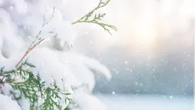 Kiderült, hogy fehér karácsonyunk lesz-e idén