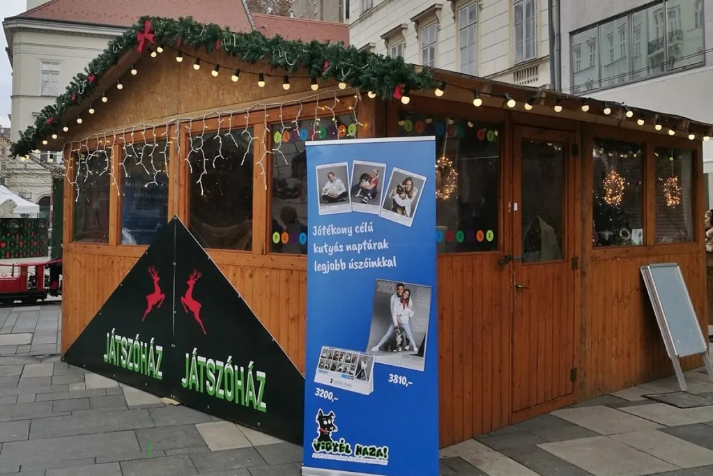 Vigyél Haza Alapítvány