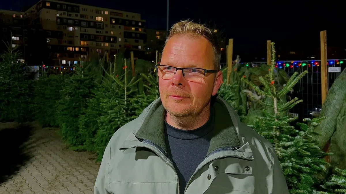 Nagy Balázs, a Lurdy Ház fenyőfavásárnak üzletvezetője, szerint a pandémia átalakította a fenyővásárlást