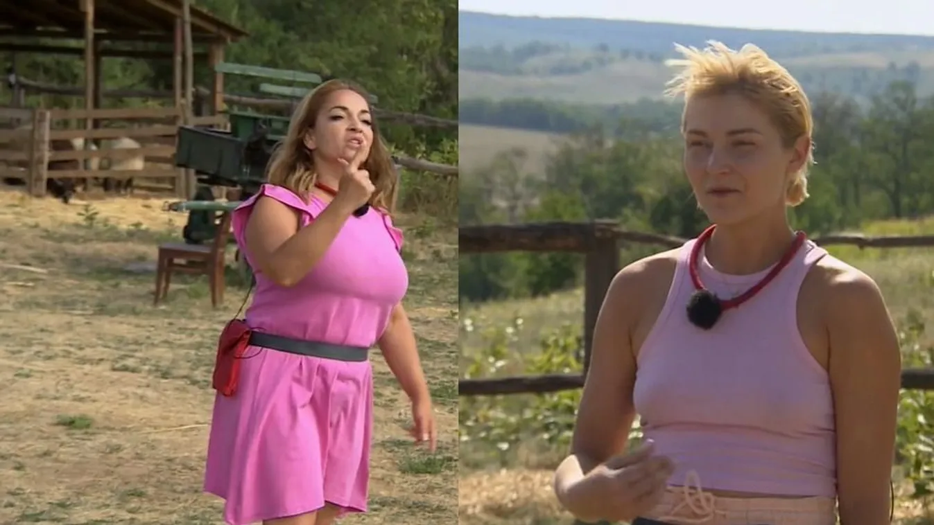 Völgyi Zsuzsi durván nekirongyolt a színésznőnek