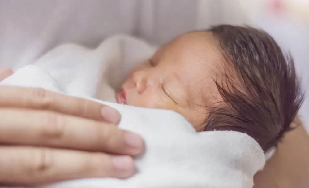 Closeup,Asian,Father,Or,Mother,Hands,Holding,Newborn,Baby,,Copy