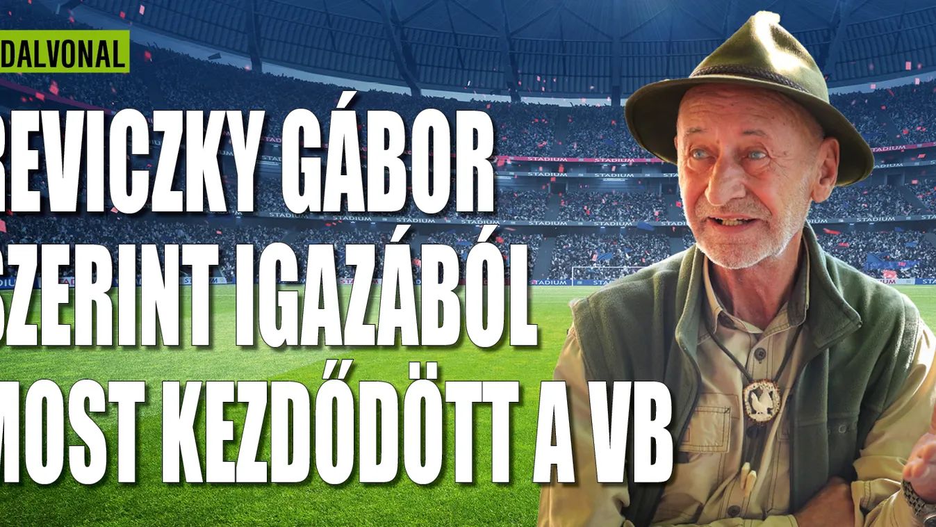 Reviczky Gábor: Gólokat rúgtam Grosics Gyulának