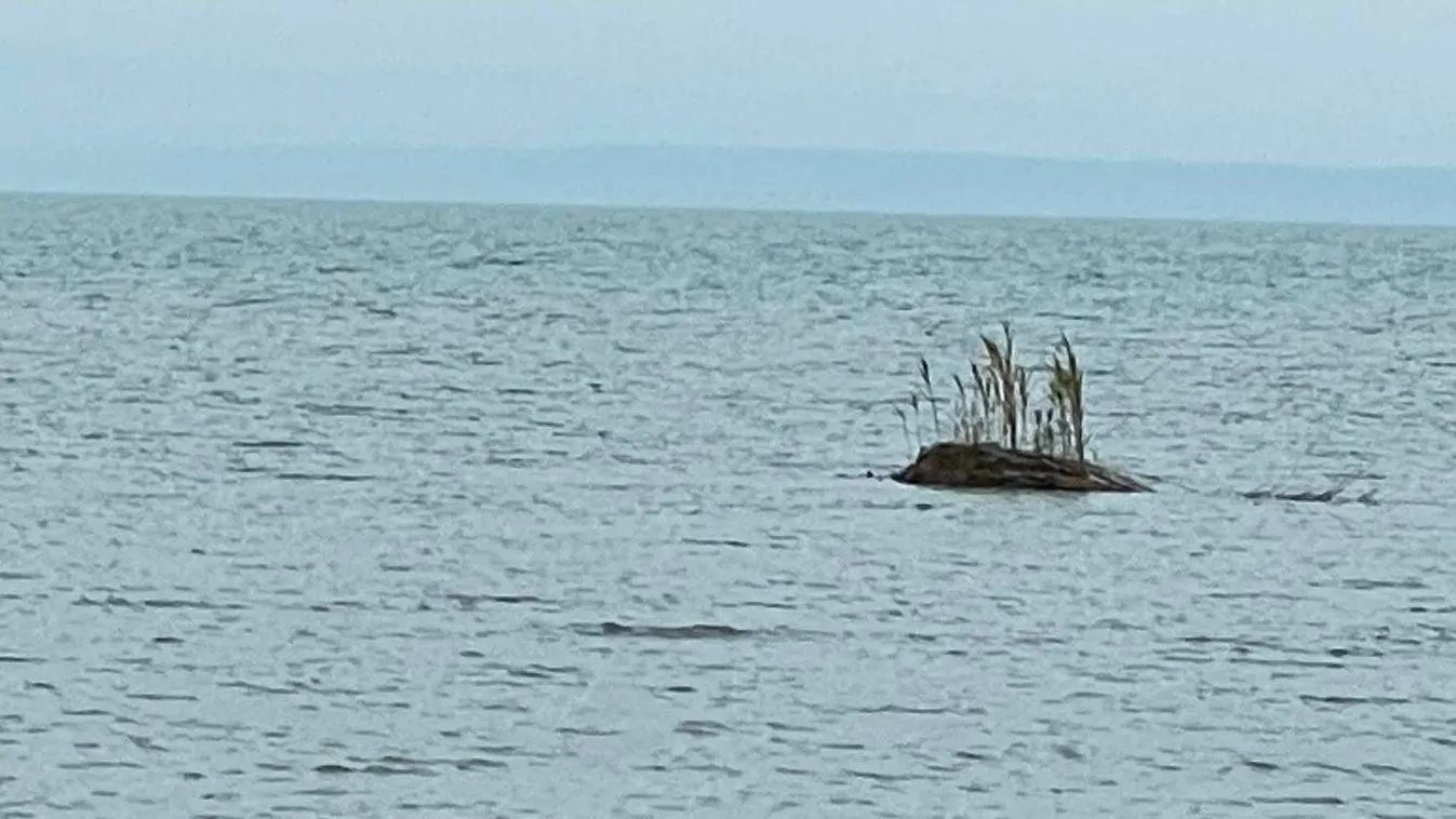 Titokzatos sziget bukkant fel a Balatonban – Fotó
