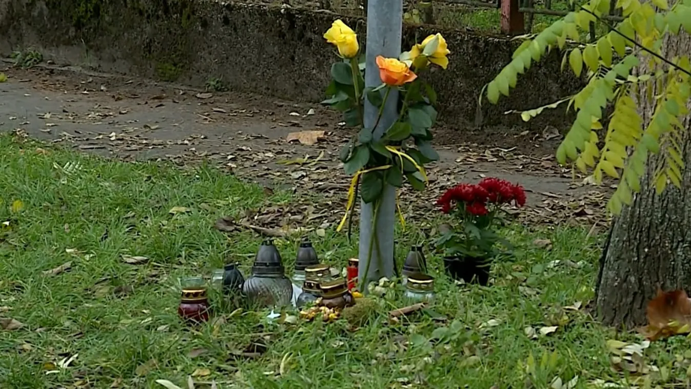 Kukának nézte, ezzel védte magát az Évát halálra gázoló sofőr