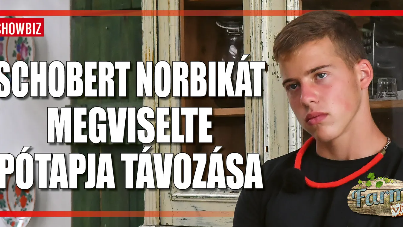 Farm VIP: Norbit ez a pillanat viselte meg a legjobban