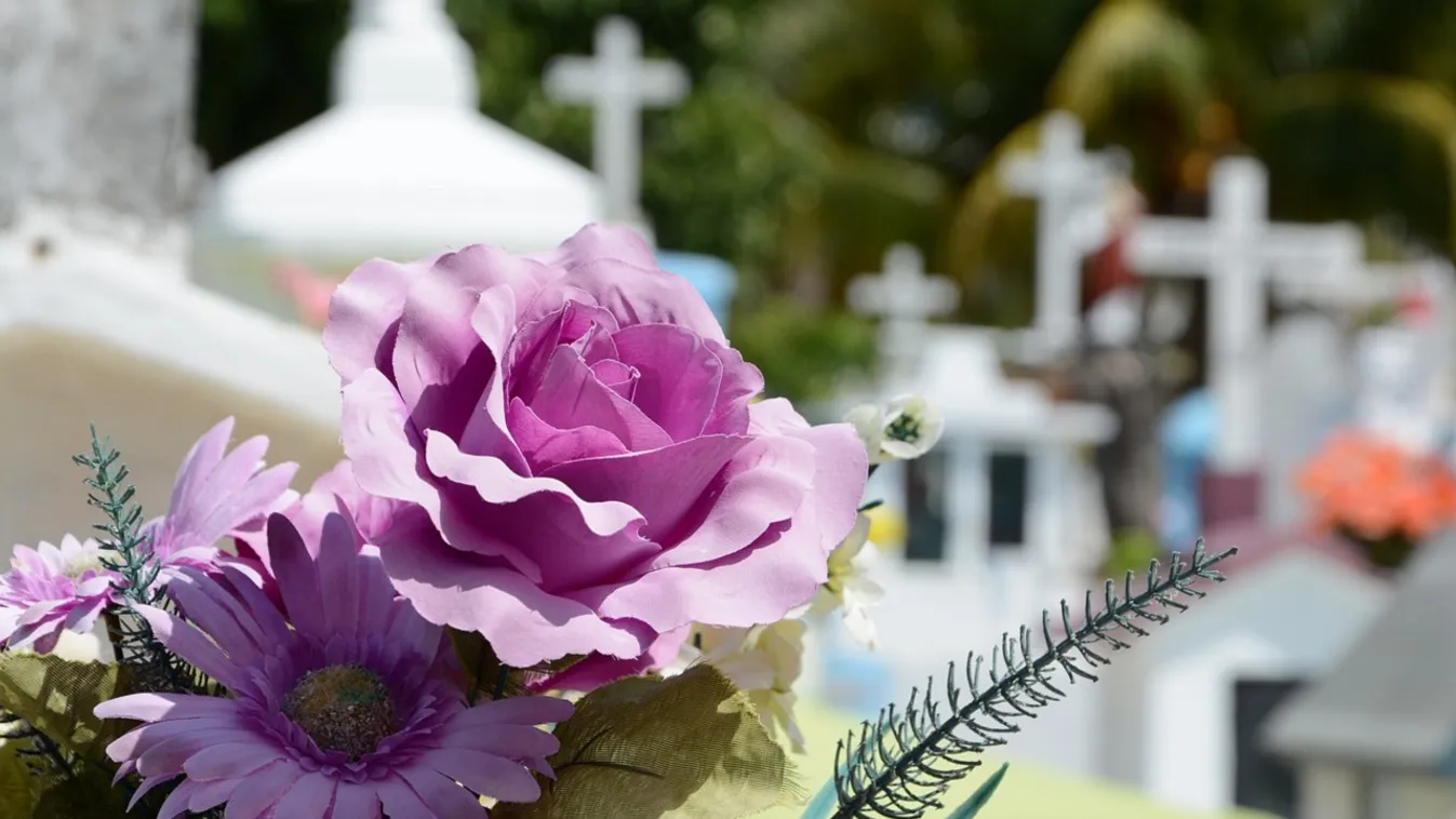 5 órán keresztül hitték halottnak, súlyosat tévedtek