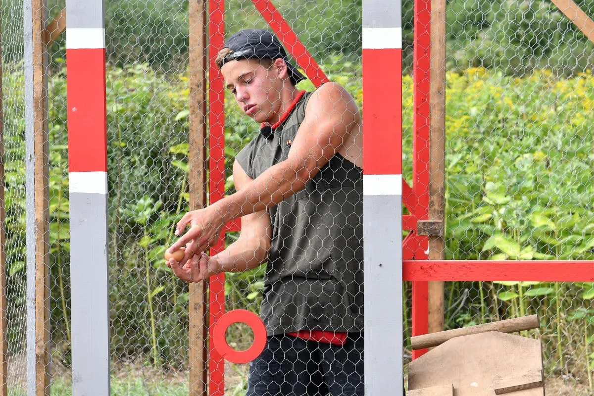 ifj. Schobert Norbi, Farm VIP