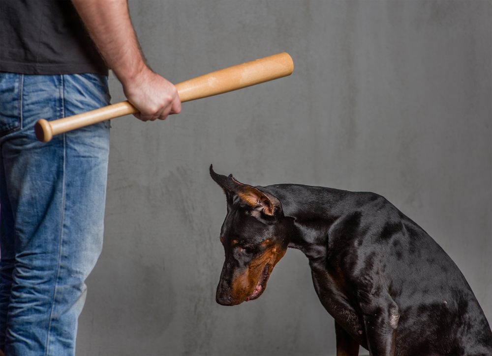 Man,With,A,Baseball,Bat,Punishes,A,Dog., szaporító, horror, állatkínzás, elfogták, illusztráció