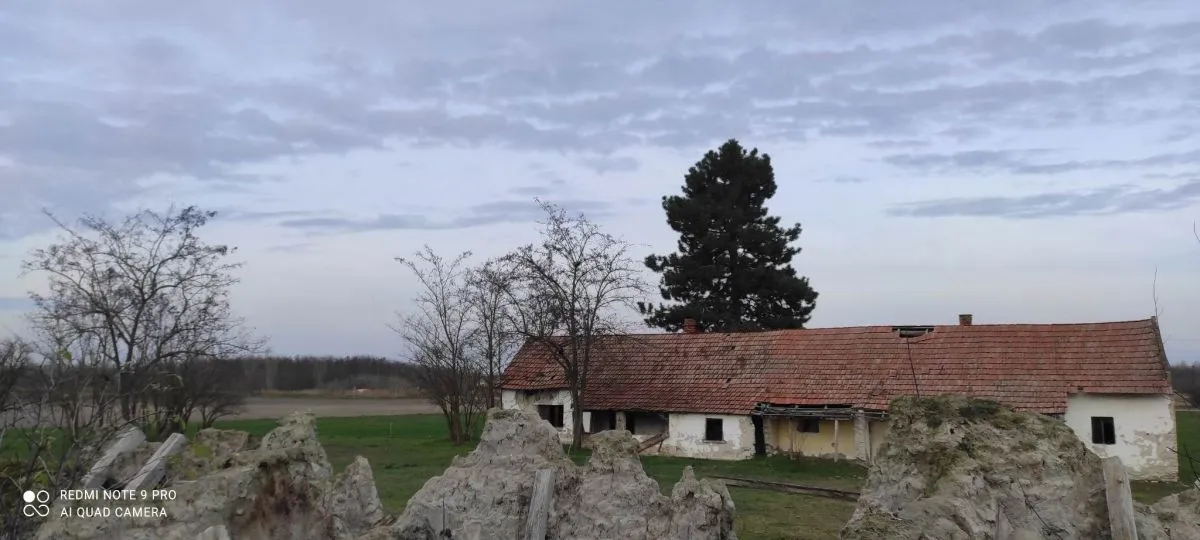 A balástyai rém háza