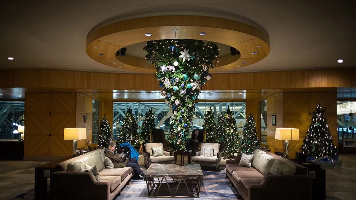 Itt vannak a legextrémebb karácsonyfák - Fotók