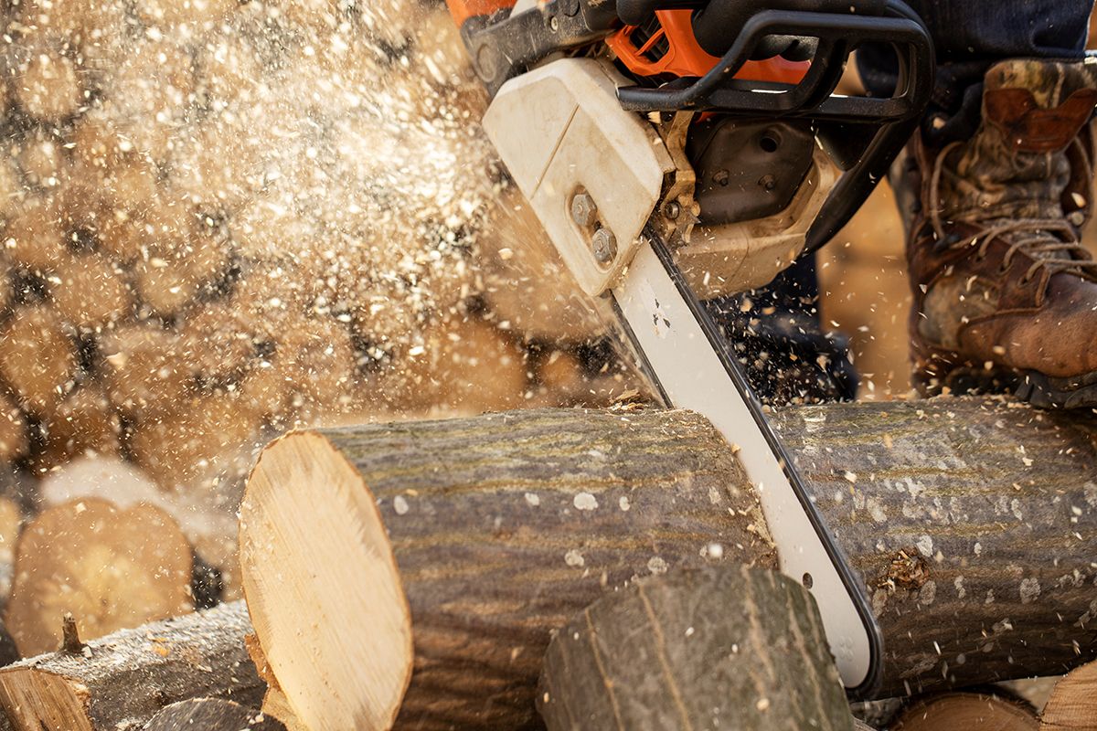 Chainsaw,In,Action,Cutting,Wood.,Man,Cutting,Wood,With,Saw,