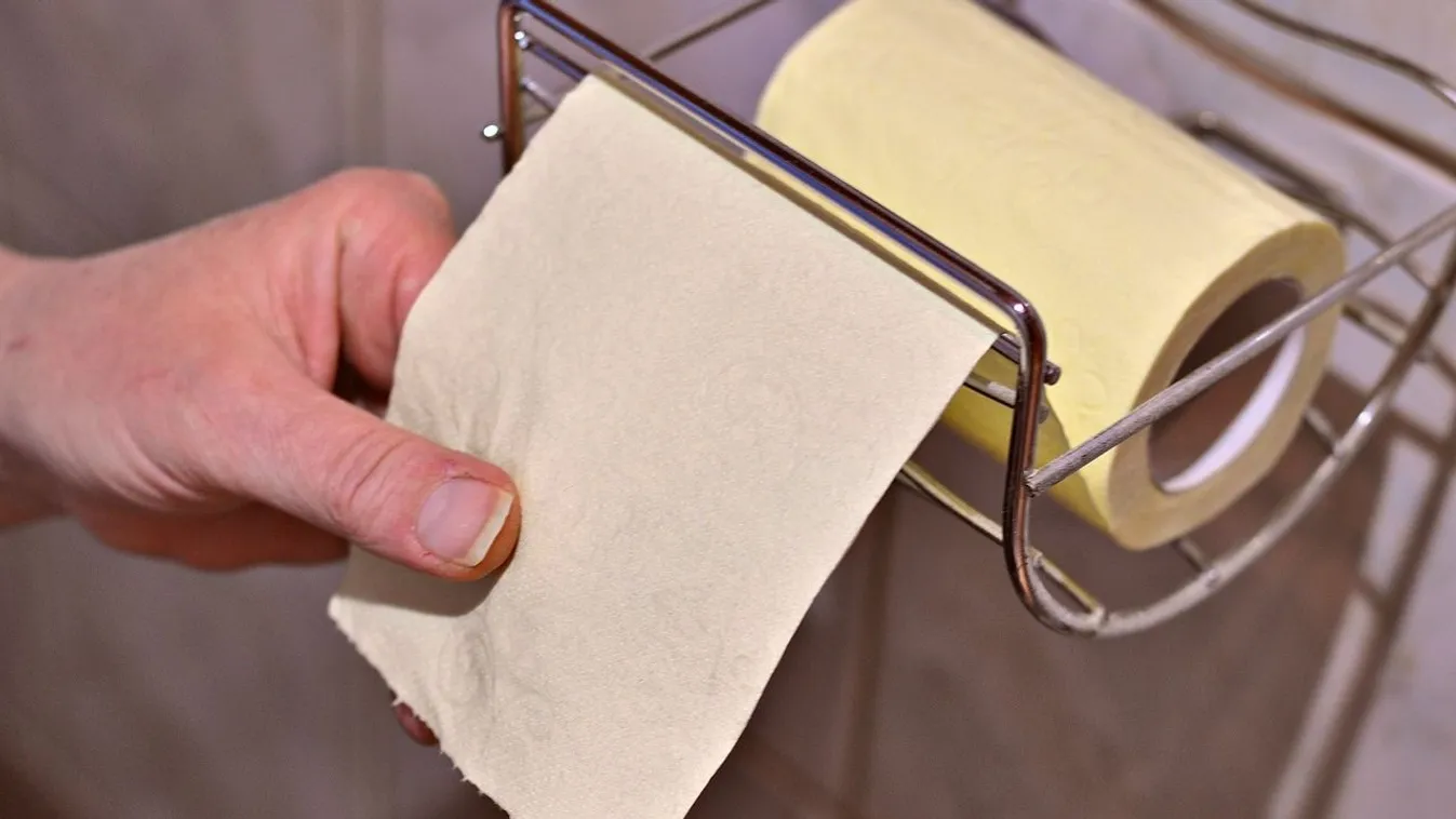 Okosporszívója fotózta le a vécén trónoló nőt